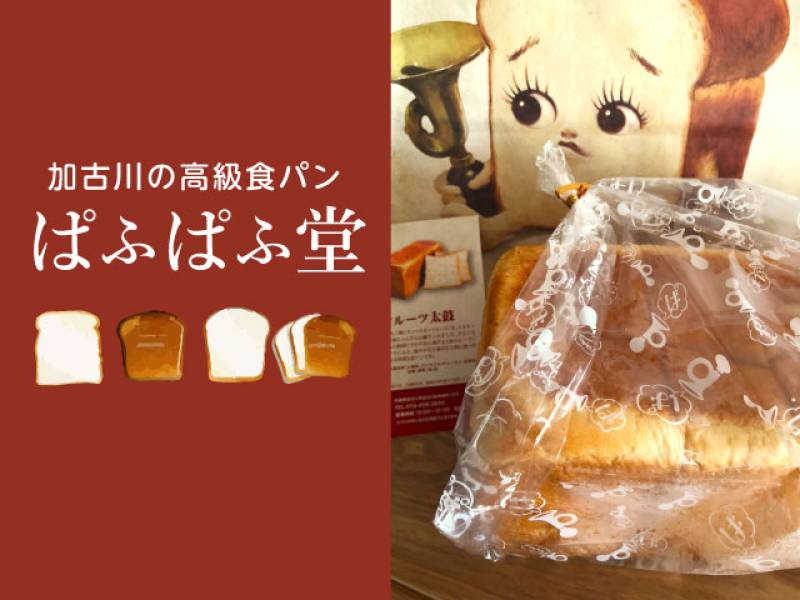 【加古川】インパクト大の高級食パン専門店「ぱふぱふ堂」の画像